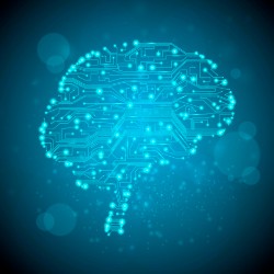 cerebro